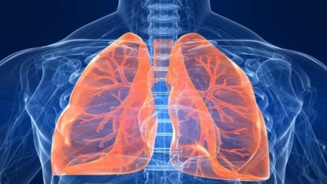 Scoperta una funzione segreta dei polmoni