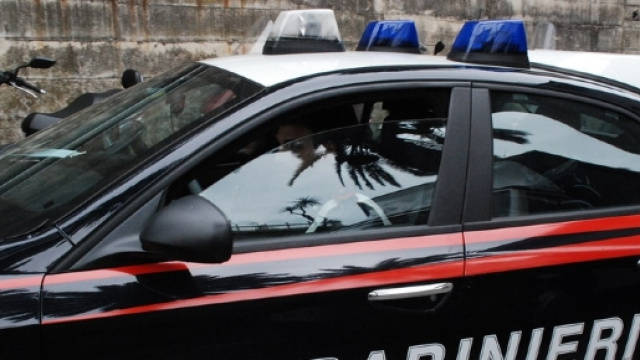 Trapani, calci al proprio cane. Intervengono i carabinieri ... - tp24.it