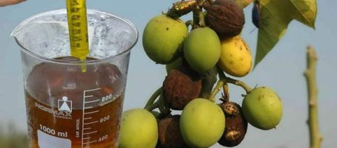 7.8 millones para fomentar la economía sostenible