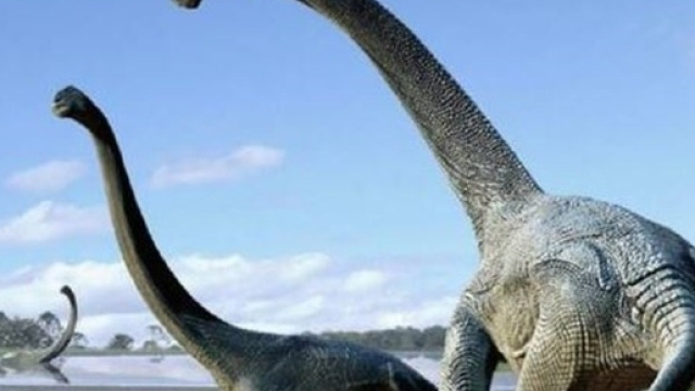 Dinosauri, orma pi&ugrave; grossa del pianeta in Australia