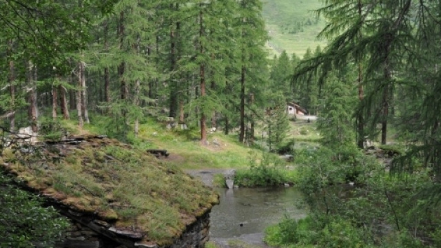 Un progetto di agricoltura sostenibile