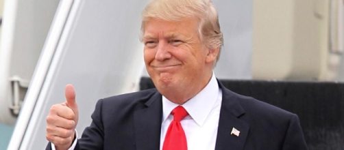 Randy racehorse named after Donald Trump gets castrated because ... - thesun.co.uk