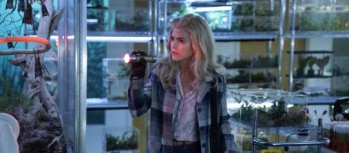 The insect warfare on 'The Americans' isn't all that outlandish ... - telegram.com