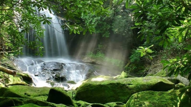 Tour su misura e viaggi nella natura | Vivitravels - vivitravels.com