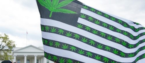 Cannabis Industry Fetes Successes, Mulls Trump Win - MG Retailer - mgretailer.com