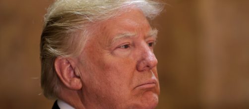 Donald Trump (Google Images API)