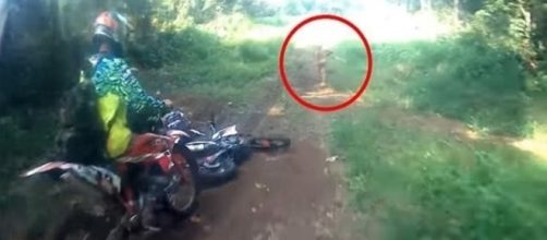 Homens flagraram criatura estranha correndo na floresta na Indon&eacute;sia.