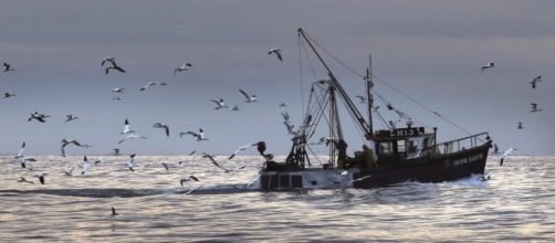 Owen Paterson: How we can reset our fisheries policy &ndash; and empower ... - politicshome.com