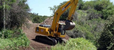 Monocultivo versus Medio Ambiente