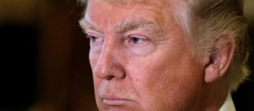 A different kind of president: Trump tweets reveal his interests ... - hindustantimes.com