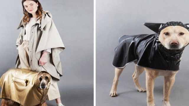 Abiti su misura per cani, ma non solo il pet business cresce