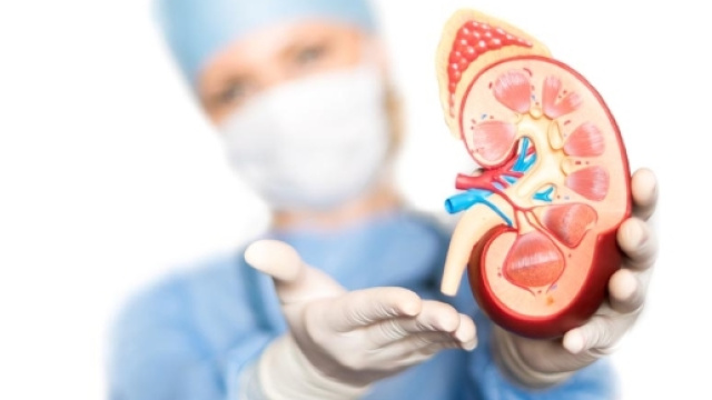 Arriva la truffa online della compravendita di reni