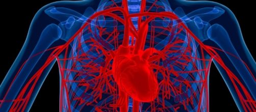 New method for regrowing blood vessels developed - newatlas.com