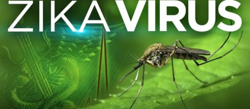 Zika Virus &laquo; CBS Pittsburgh - cbslocal.com