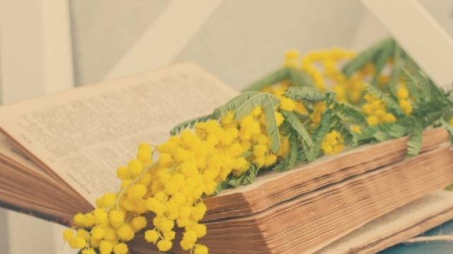 Libri festa della donna 2017 - blog.scritto.io