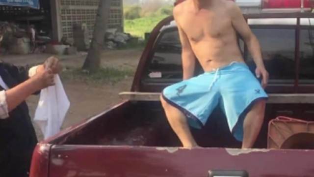 Thailandia, stupra una mucca: arrestato