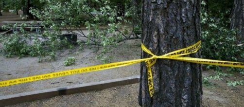 How common (or rare) are deaths at Yosemite National Park? - SFGate - sfgate.com