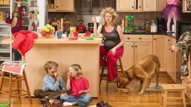 casalinga | La Zitella Felice - wordpress.com