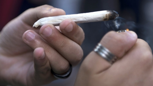 I consigli di un gruppo di ricercatori sul consumo di cannabis.