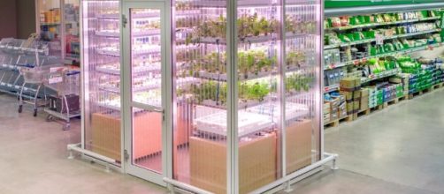 Is Urban Farming Only for Rich Hipsters? - psfk.com