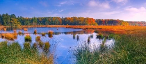 Water conservation/Photo via tpsdave, pixabay