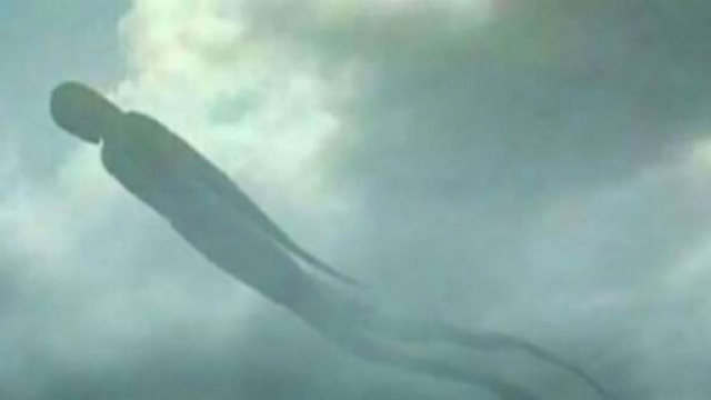 Dissenatore o pura illusione ottica?