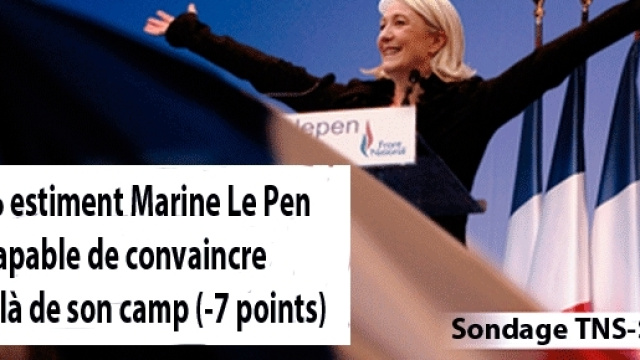 En 2016, 49% de l'opinion pensait que Marine Le Pen pouvait convaincre au-del&agrave; des adh&eacute;rents