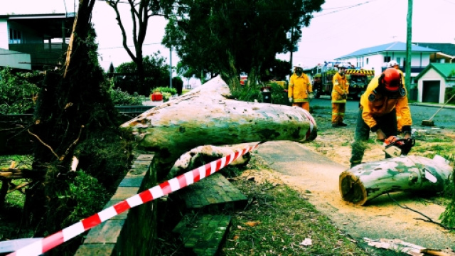 Il forte vento di maestrale ha creato disagi in tutta la Sardegna