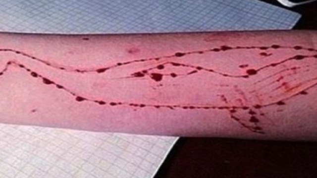 Blue Whale, il gioco che chiede la vita