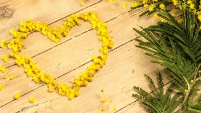 Festa della donna: perch&eacute; si regala la mimosa?