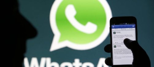 WhatsApp | NTR Zacatecas .com - ntrzacatecas.com