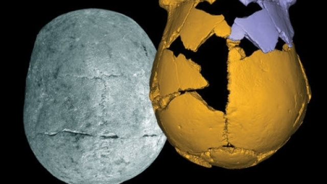 I crani scoperti in CIna dei Denisoviani