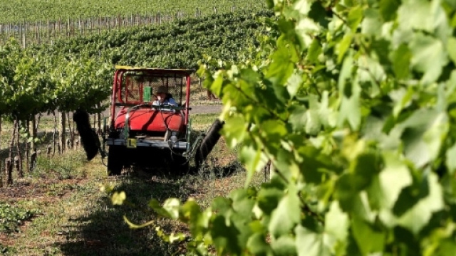 L'Australie moins s&eacute;v&egrave;re que pr&eacute;vu avec les jeunes travailleurs ... - bfmtv.com