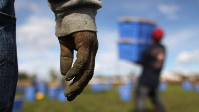 Lecce, sindacalista riceve minacce su whatsapp - foto cislbrescia.it