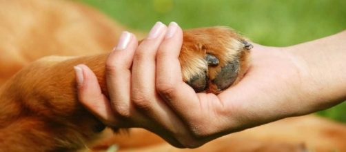 Esta es la mejor forma de decir "me gustas"