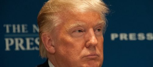 The Top 5 Reasons Donald Trump Will Not Win Elections | Citizenize - citizenize.com