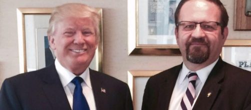 Sebastian Gorka is widely disdained within national security field ... - businessinsider.com