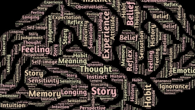 Cerveau - Intelligence via Pixabay CC BY