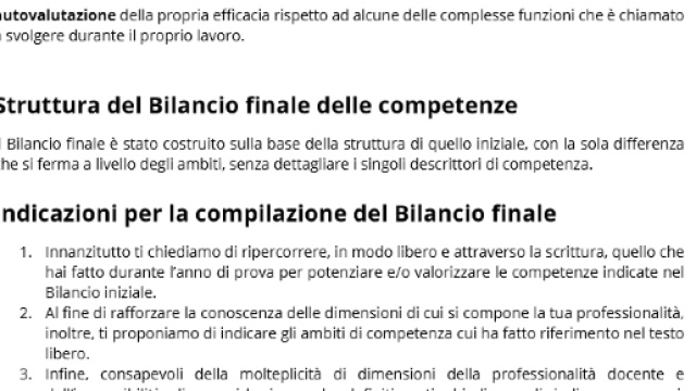 Come compilare il bilancio delle competenze finali.