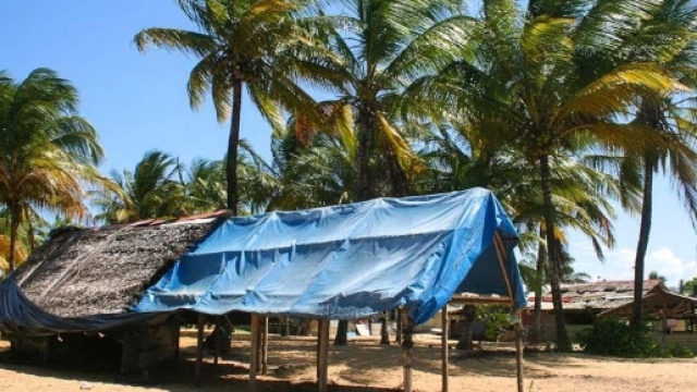 Paesaggi esotici sono sempre fonte di ispirazione