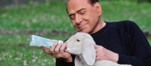 EL PA&Iacute;S Edici&oacute;n Am&eacute;rica: el peri&oacute;dico global - elpais.com