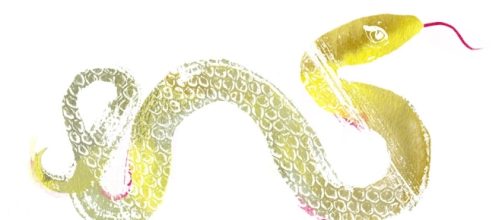 Susie Cox On: 2013 Year of the Water Snake | Tory Daily - toryburch.com