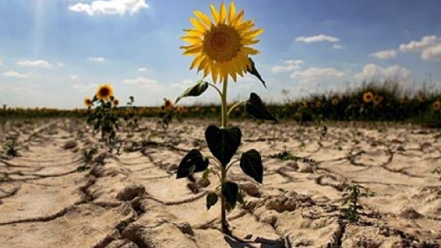 Cambiamento climatico e diabete di tipo 2 comune-info.net