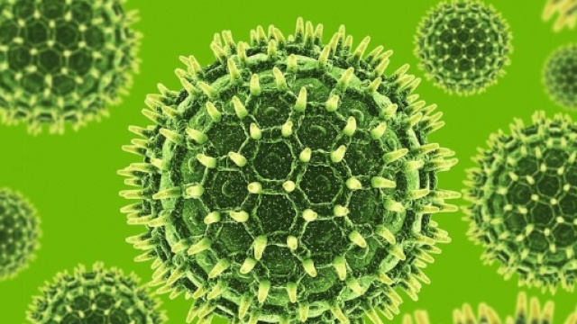 I pollini sono la principale causa di allergie stagionali