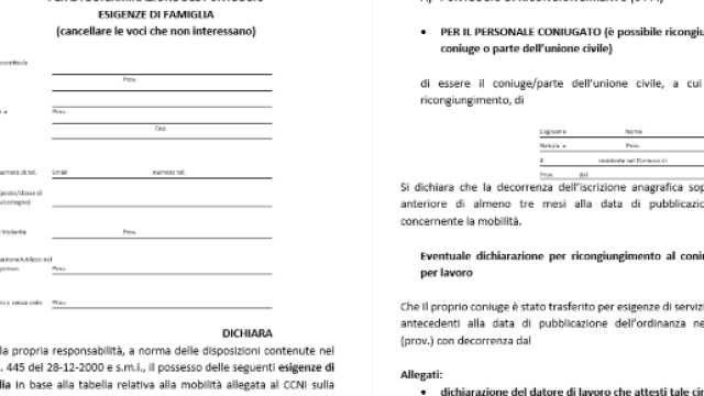 Moduli precedenze nella domanda di mobilit&agrave;