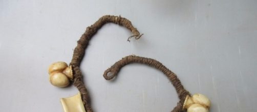 A Fijian Breast Ornament 'Tabua' made from the tooth of a sperm ... - pinterest.com