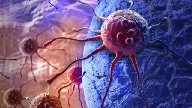 Cura del cancro : scoperta nuova via grazie alla ricerca. | 27 Tv - altervista.org