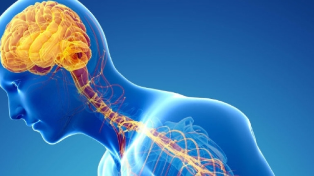 Nuove speranze contro Parkinson dalla Svezia