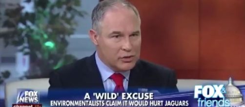 Scott Pruitt on jaguars and text apps. Screencap/Fox & Friends