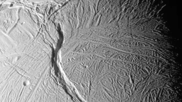 Immagine di Encelado della sonda Cassini